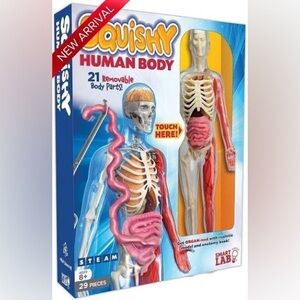 Squishy Human Body Anatomy Tool